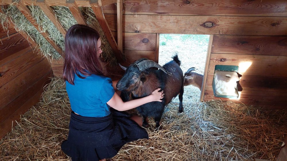 Dom gościnny Stary Spichlerz nad Wartą