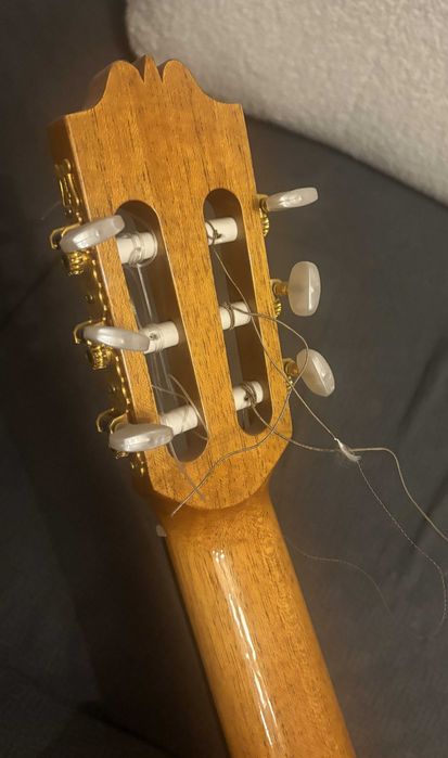 Gitara admira artista - Kraków/Katowice i okolicy