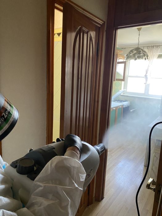 Професійне знищення тарганів блох клопів щурів мишей