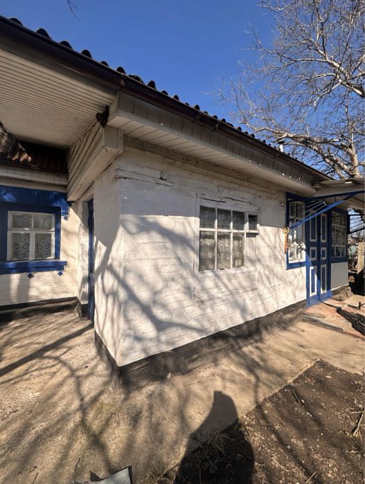 Продаж будинку в центрі села Пилипча - 45 соток землі