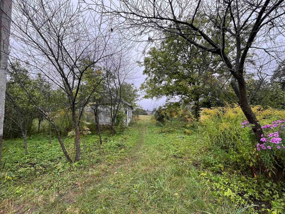 Земельна ділянка 37сот в с. Білин