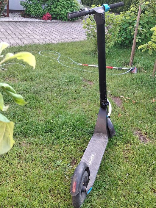 Hulajnoga elektryczna blaupunkt ESC808