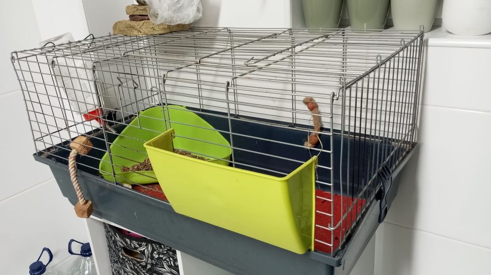 Gaiola para roedor- bom estado