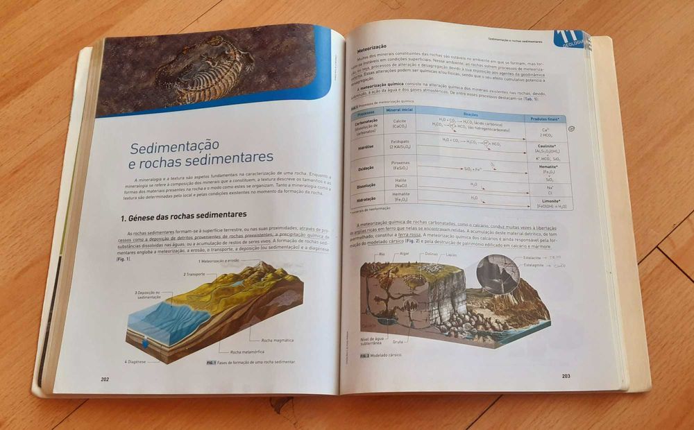 Livro de preparação ao Exame - Biologia e Geologia + Física e Química