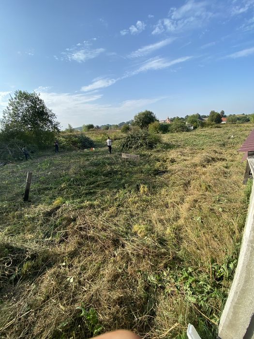 Обрізка дерев , послуги гілкоподрібнювачів, самоскид+грейфер,автовишка