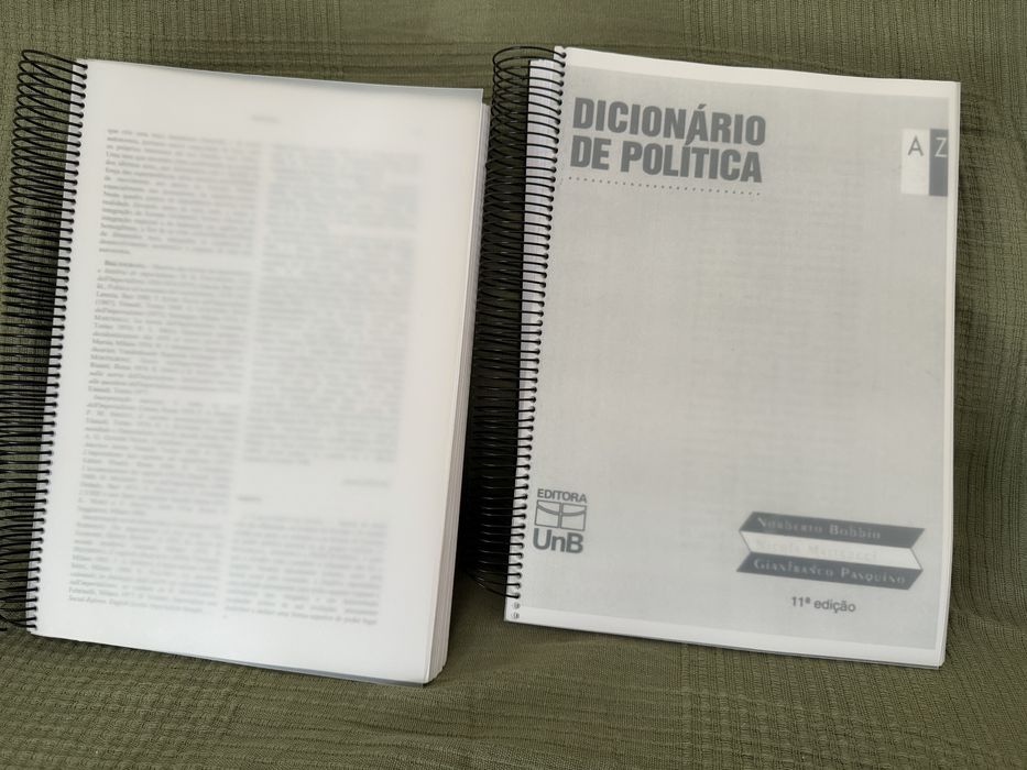 Dicionário de Política