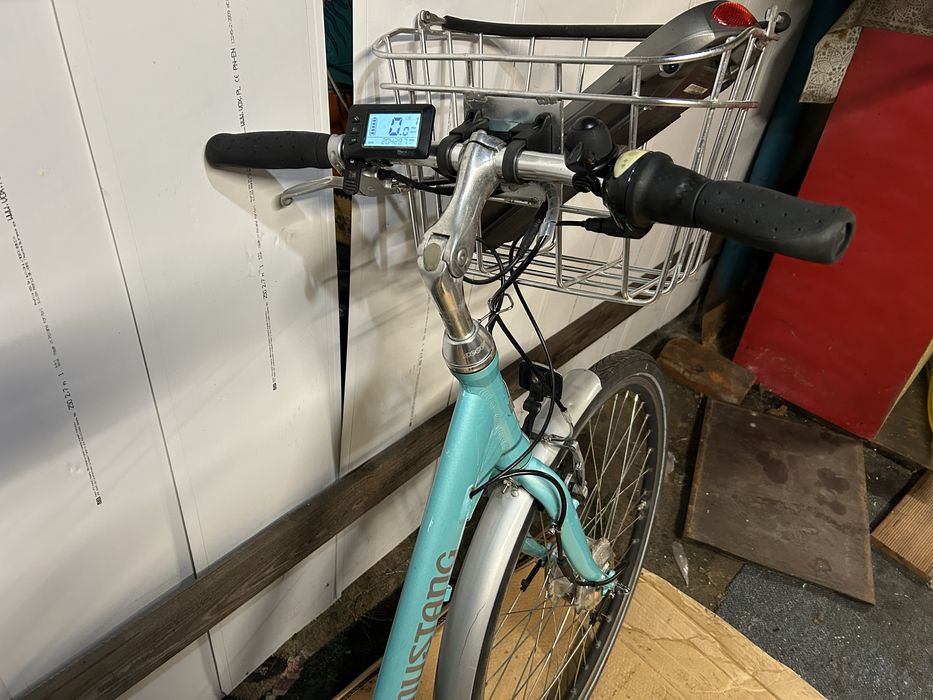 Rower el. Mustang dynamic