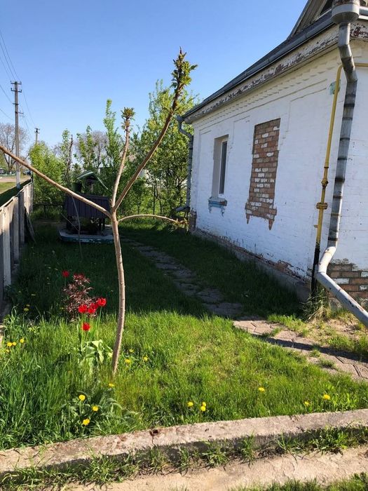 Будинок с. Берестівець