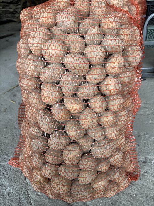Ziemniaki DENARY
