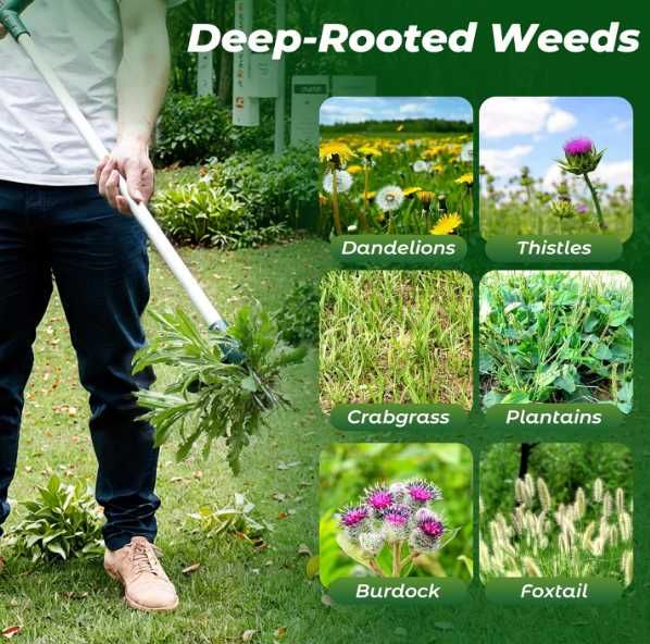 Wyrywacz chwastów Walensee 100 cm stal nierdzewna 3 szczęki