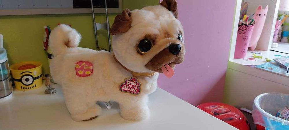 Cão interativo como novo