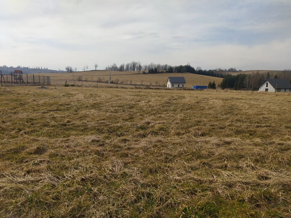 Jabłów działka budowlana 1591 m z wydanym pozwoleniem na budowę - Więcej