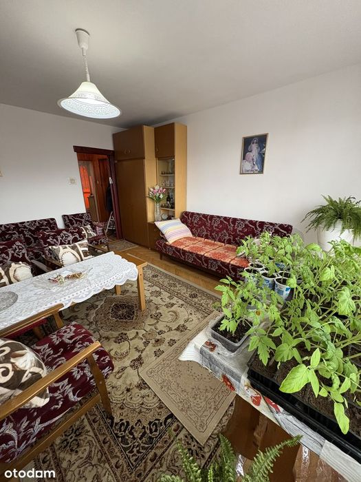 Zdjęcie 2