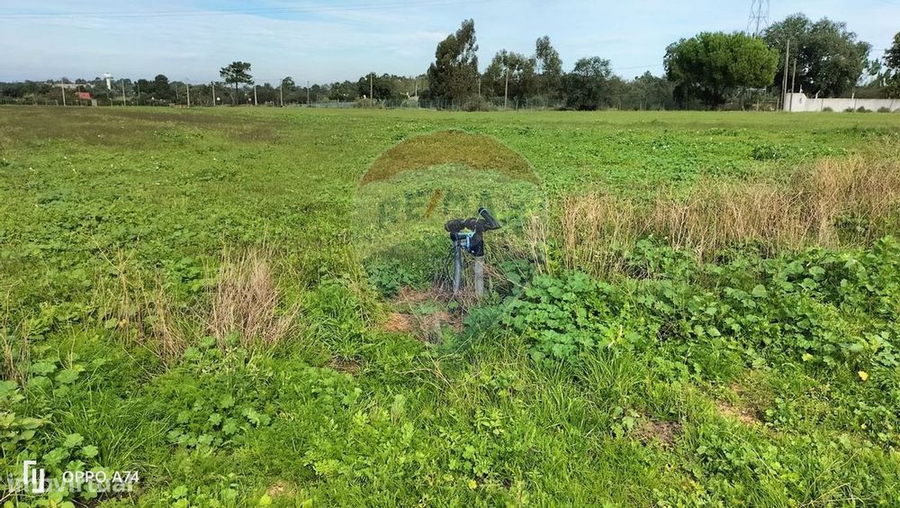 Terreno  para venda