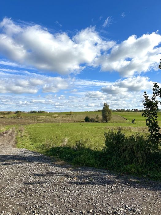 ПРОДАЖ‼️ЗЕМЕЛЬНА ДІЛЯНКА‼️Земля. Земельні ділянки‼️с.Велика Омеляна