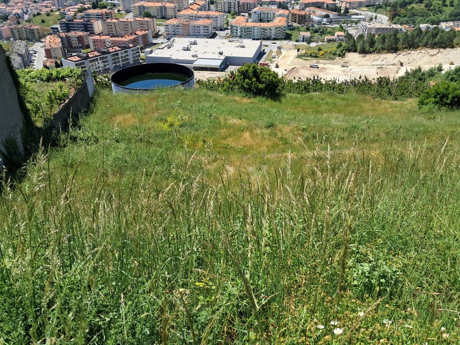 Terreno Serra das Meadas - Lamego