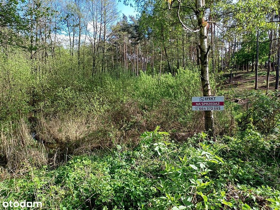 Otulona zielenią