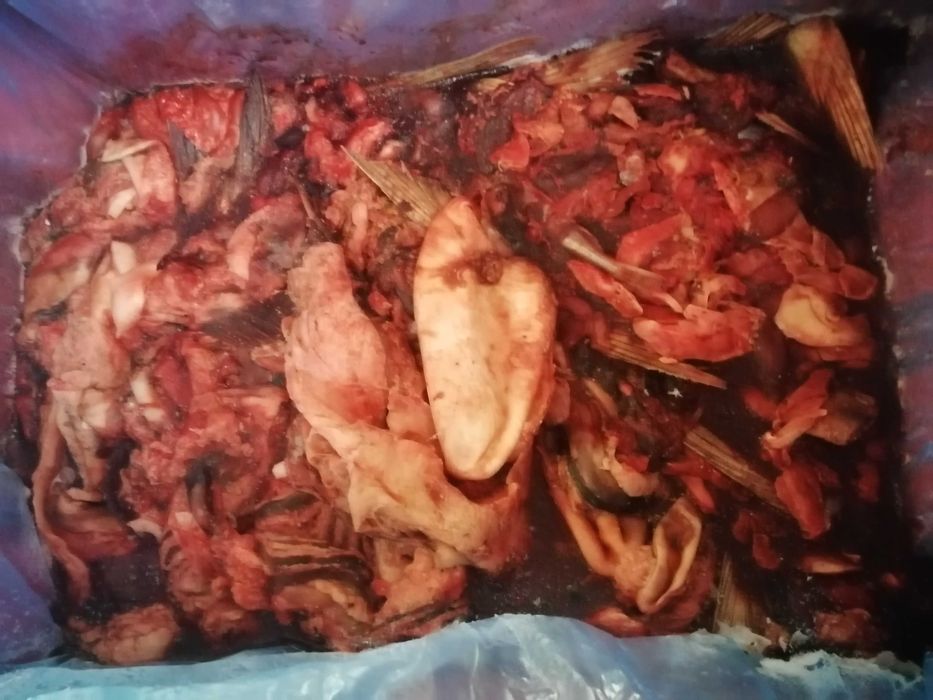 Рыбные внутренности на корм животным (курям свиням... )