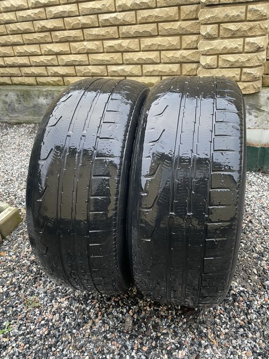 Шини літні 225/50r17 Pirelli Sottozero