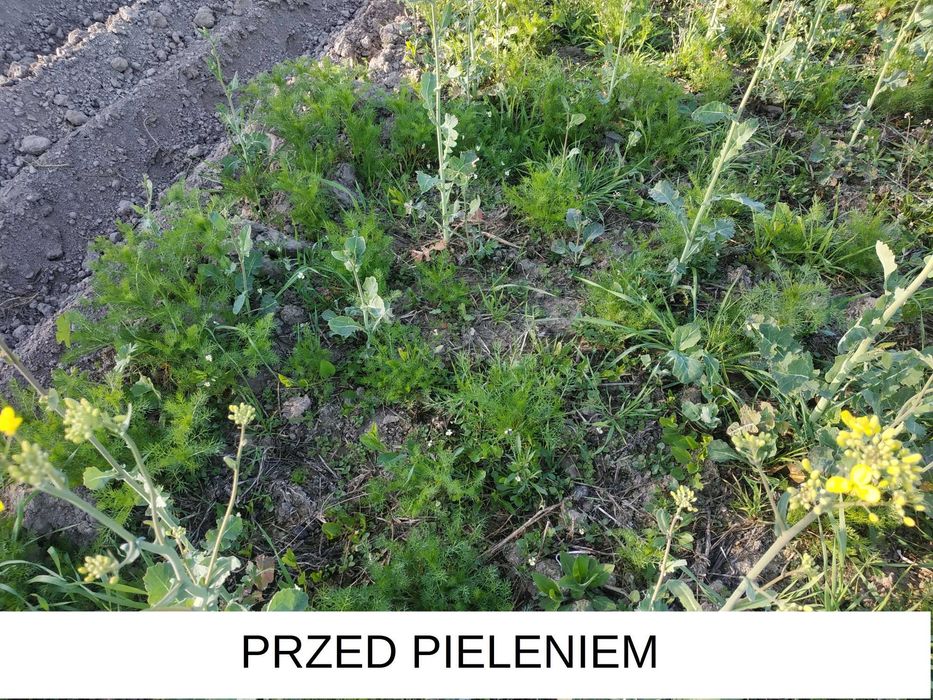 Pielnik, opielacz, kultywator ręczny - 30cm
