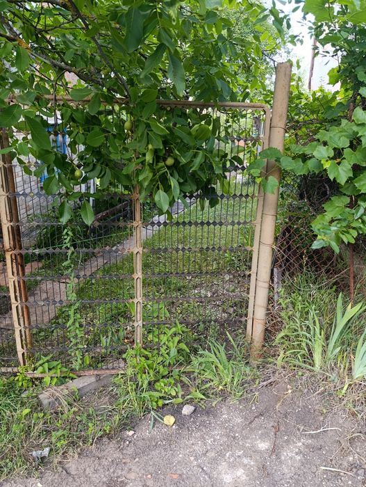 Продам дачу с. Абазівка