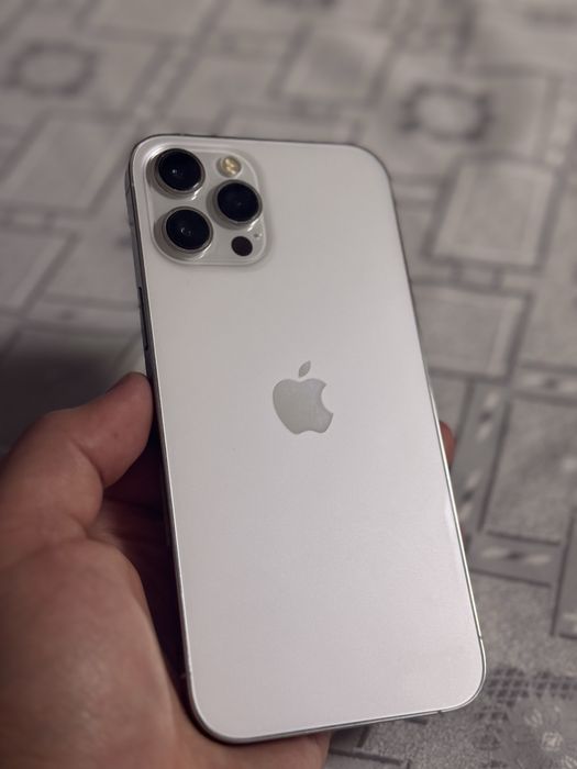 iPhone 12 Pro Max 256 GB Silver Neverlok