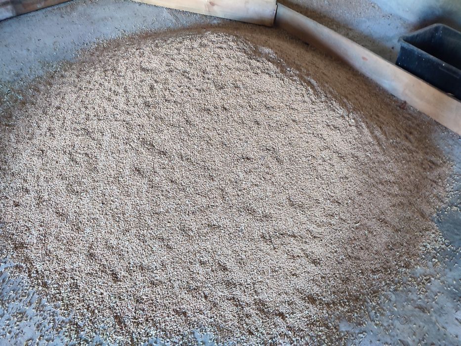 Ziarno gołębie/kury