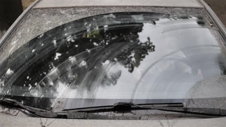 Higienização e limpeza interna de viaturas. Cristalização de vidros automotivos.