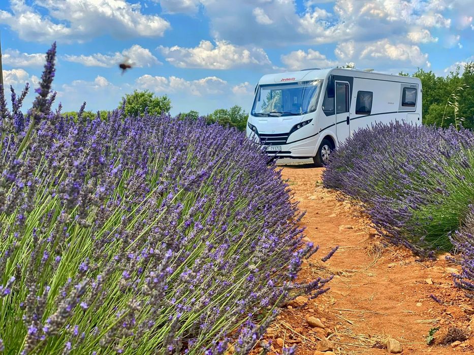 Dethleffs Globebus I6  Dethleffs Globebus I 006