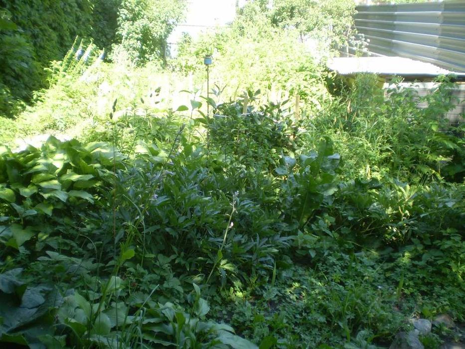 Житлове приміщення під пекарню дім літніх садок школу пансіон клініку