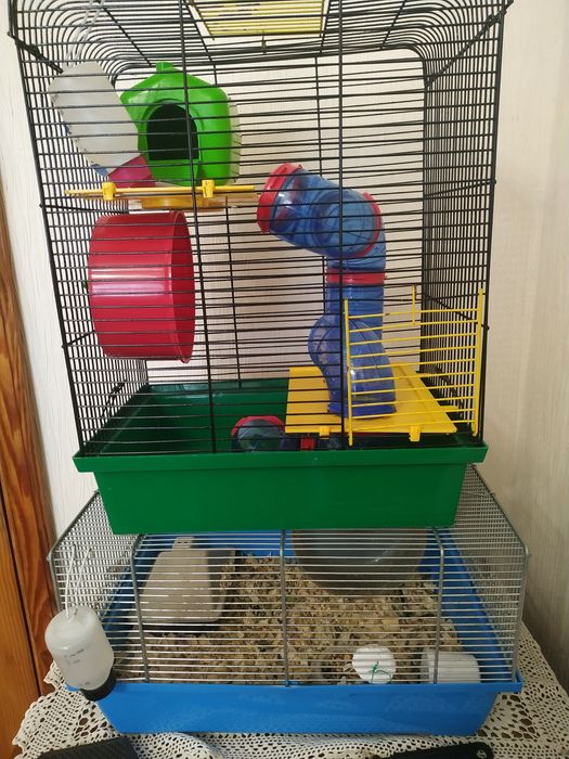 Клітка для ховрашка з наповненням.