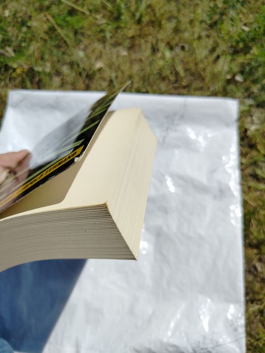 Książka Leopold Tyrmand - Zły