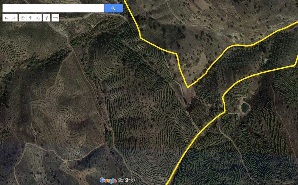 Terreno rústico 136 ha