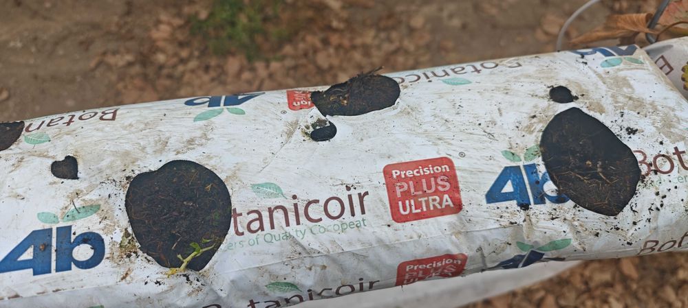 Mata Kokosowa Botanicoir!!!