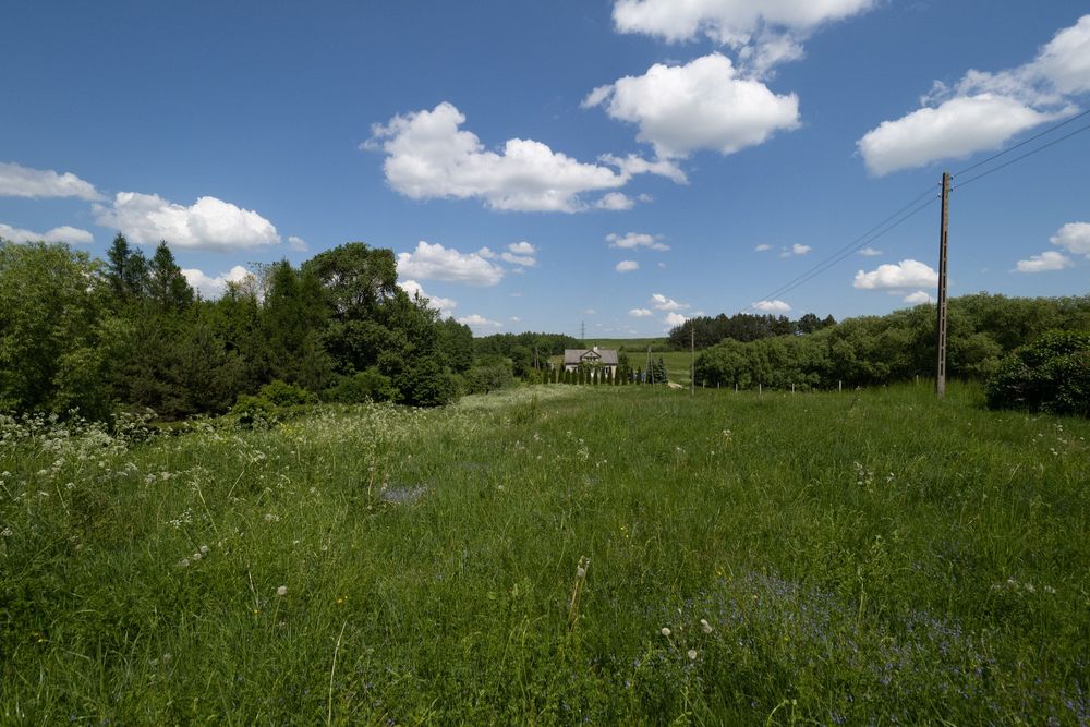 Działka inwestycyjno-budowlana 5129 m² z linią brzegową Rospudy i wydanymi WZ – Bakałarzewo (możliwość podziału na 3 oddzielne) - Widok 2