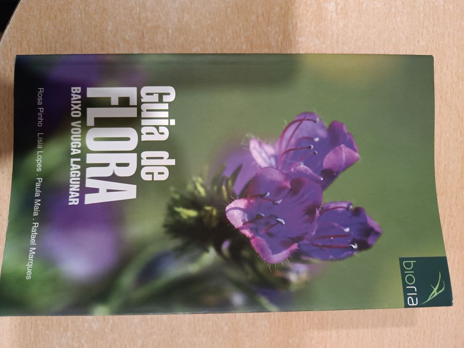 Livros de guia novos