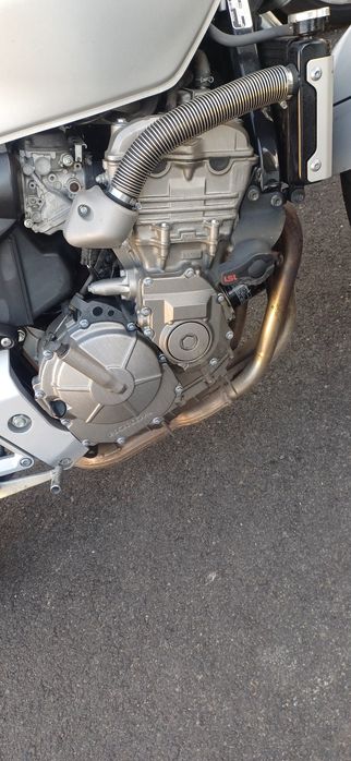 Honda hornet 600 2003