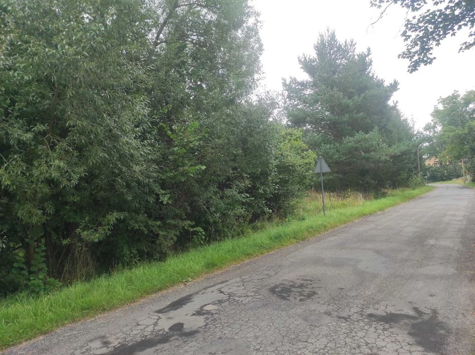 Dom – Rząśnik - Widok 2