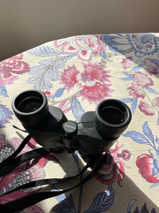 Olympus 8/16-40 DPS I