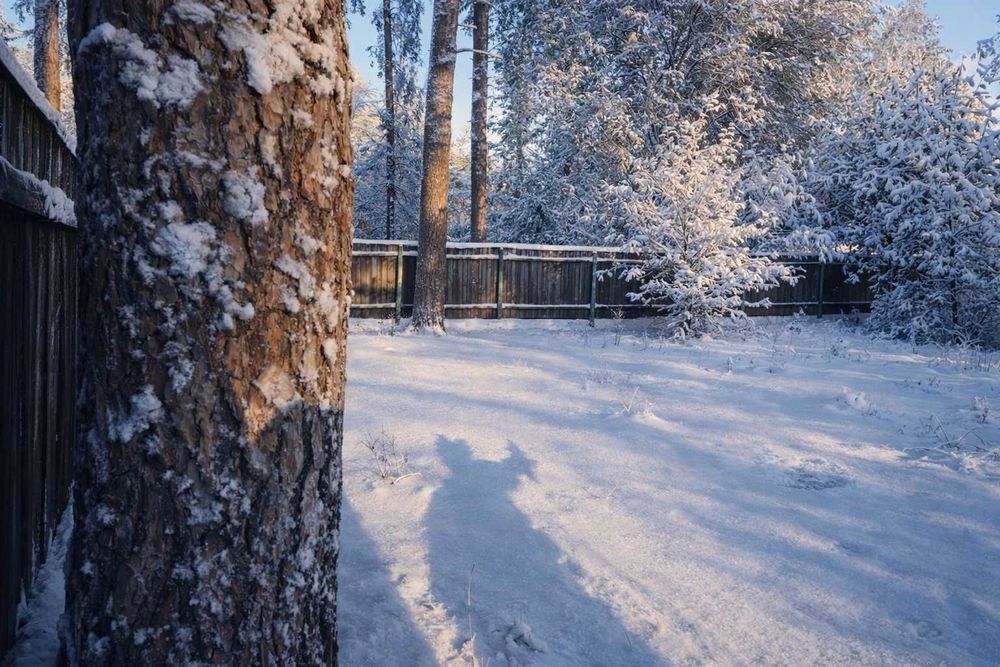 Супер ділянка в Лісовій Бучі