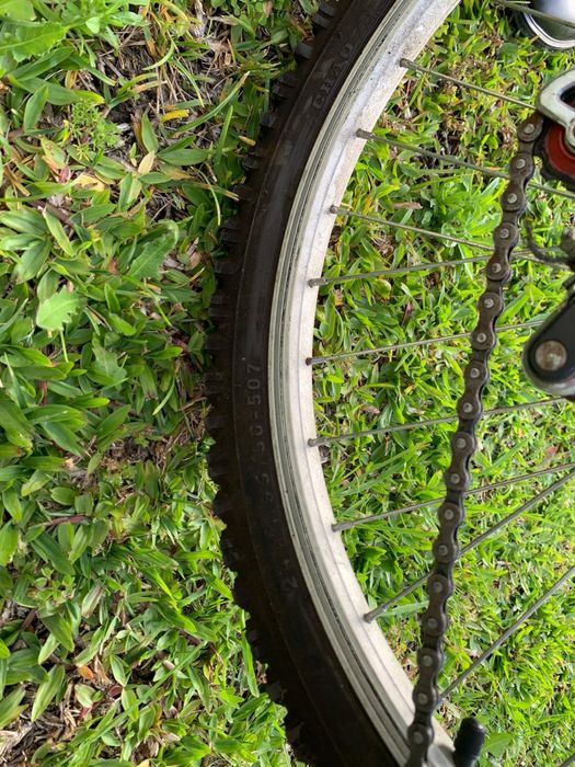 Bicicleta  para adulto
