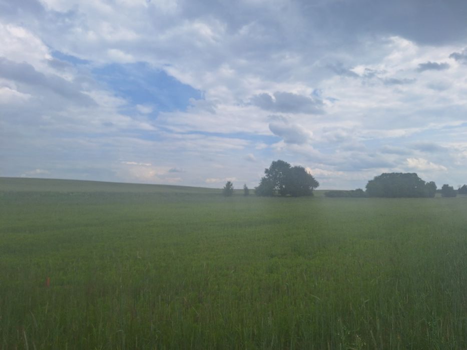 Działka budowlana blisko natury