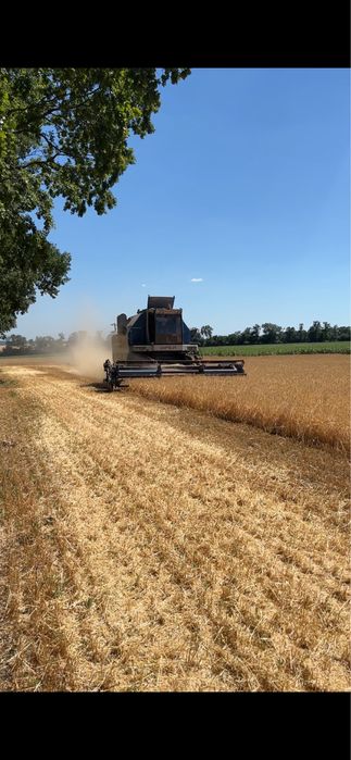 Продаєця єнисей 950