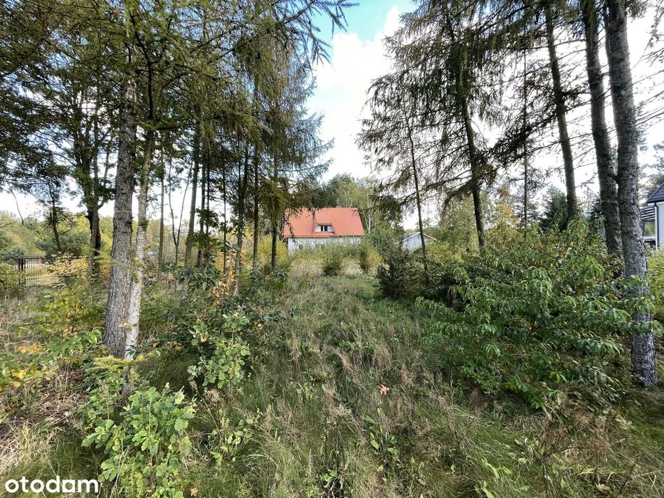 Dom – Piastów - Widok 2