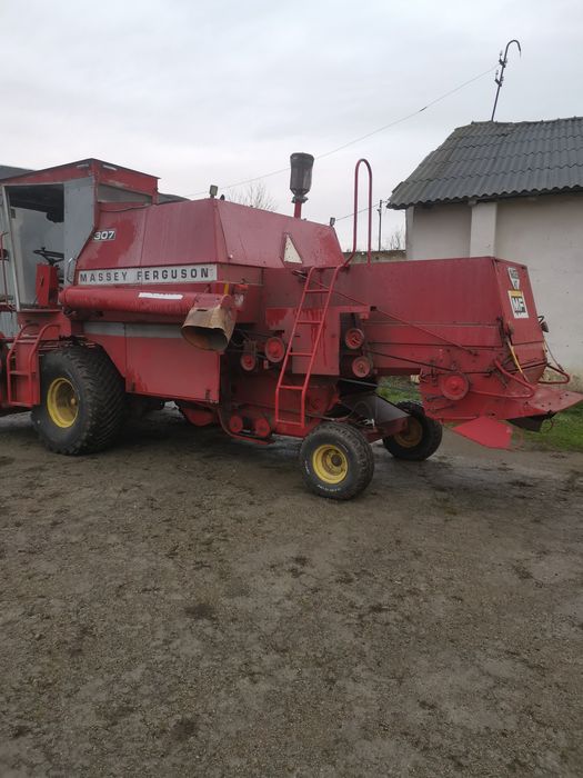 Масей Фергюсон 307