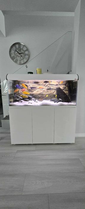 Akwarium Malawi 240L 120x40x50 Optiwhite + Fluval FX6 filtr