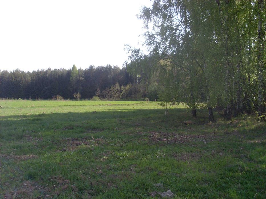 Działka 1.18 ha pod Mszczonowem | WZ | 25 zł/m2 - Więcej