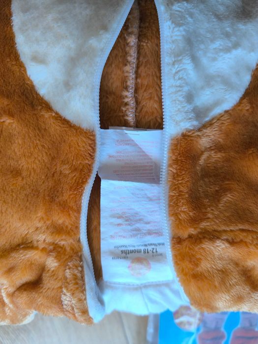 Máscara de Leão de Carnaval