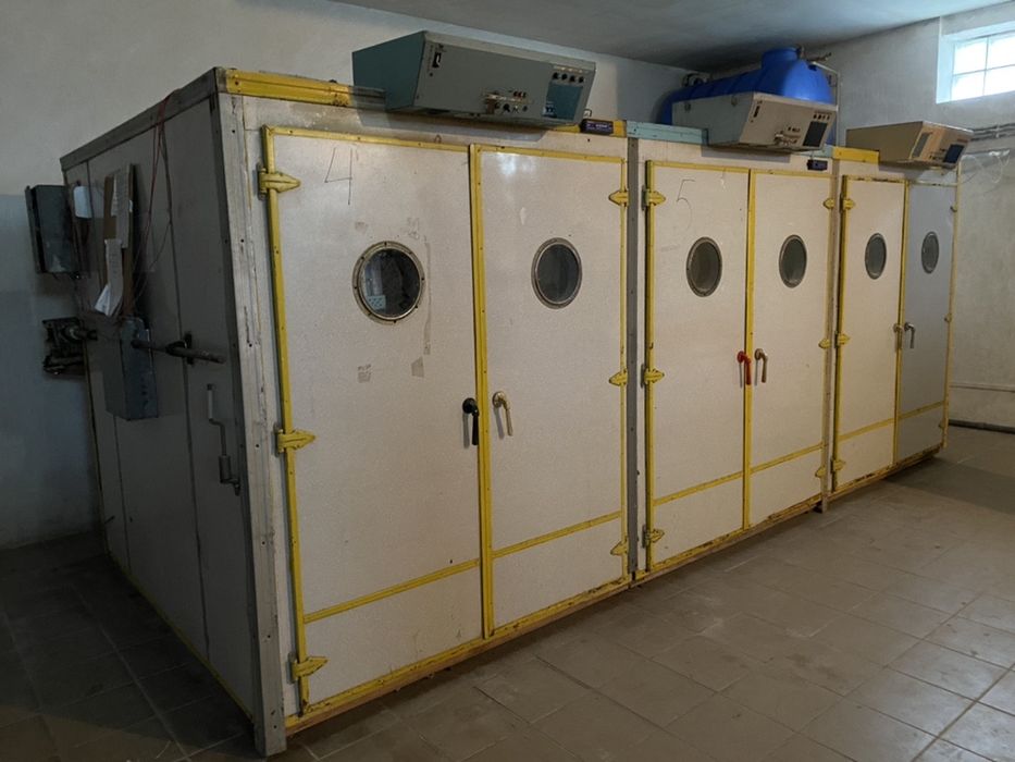 Инкубатор промышленный