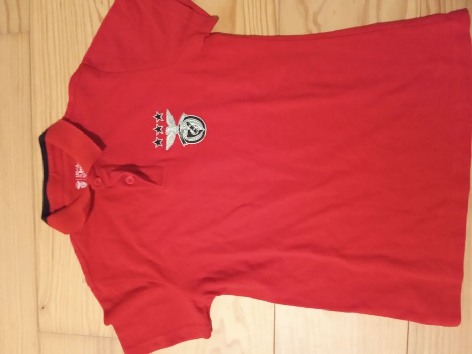 T shirt fato de treino oficial do Benfica
